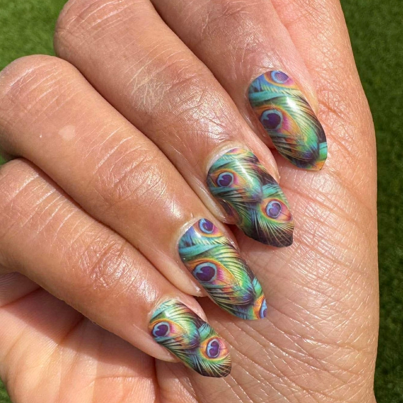 Regal Peacock Exclusive No Light Gel Nail Wraps (NLG)