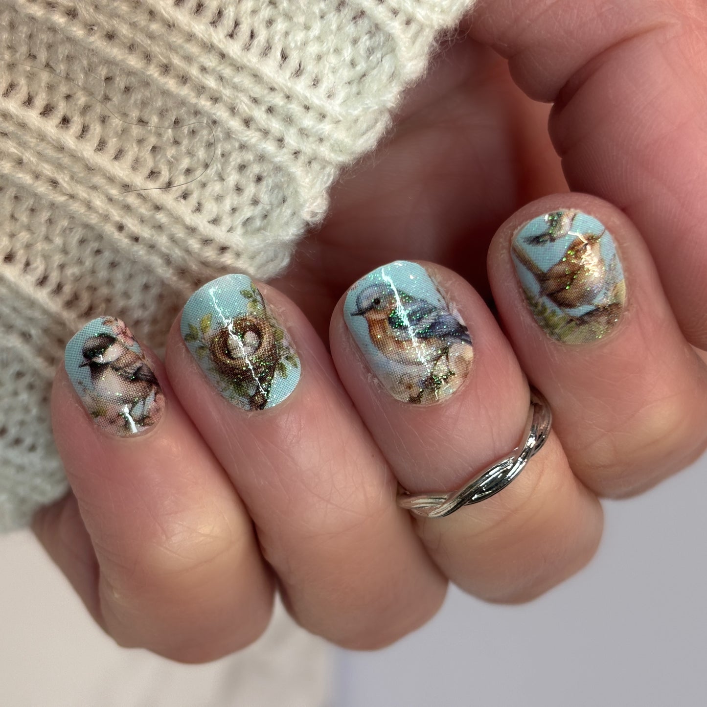 Spring Birds Exclusive Design Nail Wraps (Subtle Glitter)