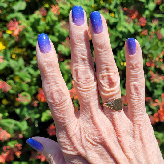 Fairy Dust Nail Wraps (GLITTER)