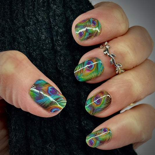 Regal Peacock Exclusive No Light Gel Nail Wraps (NLG)